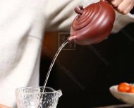 《魚(yú)樂(lè)壺》