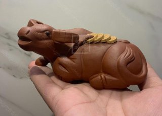 《金錢福?！? title=